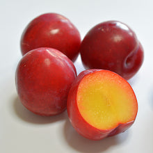 画像をギャラリービューアに読み込む, ほどよい甘酸っぱさのリキュール ORIGIN「プラムジン」【常温】