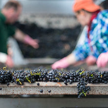 画像をギャラリービューアに読み込む, ピノ・ノワールの果汁から仕上げた希少な白ワイン「BLANC DE NOIR(ブラン・ド・ノワール)」