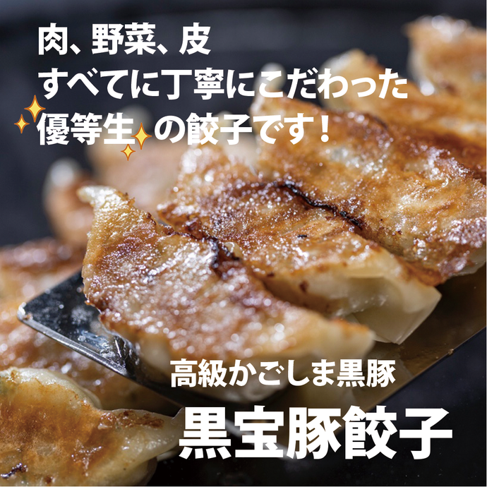 餃子で優等生とはどんな優等生なのか？召し上ってみませんか？