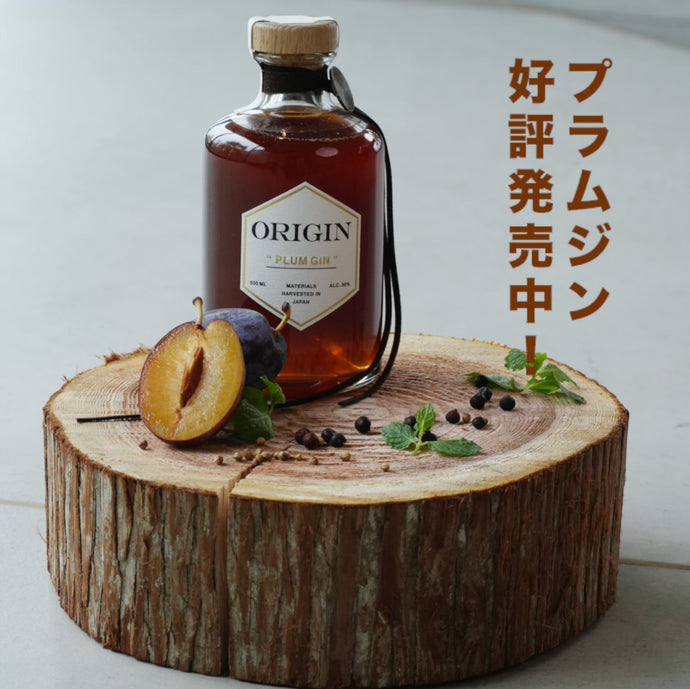 厳選されたボタニカルからつくった大人のPLUM GIN🥂