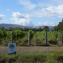 画像をギャラリービューアに読み込む, 450本限定！【URLAR】VIONIER Celler Door Anniversary 白ワイン【冷蔵】
