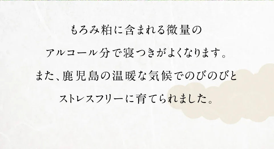 黒宝豚美味しさの決め手